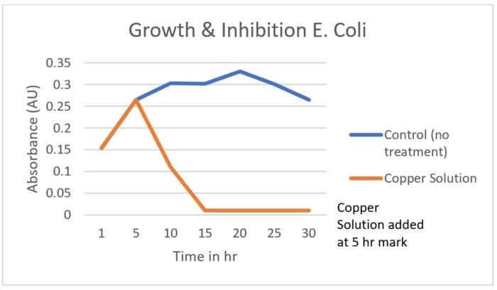 growth time for E.Coli